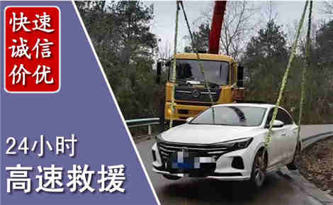 林甸高速公路救援场景与案例
